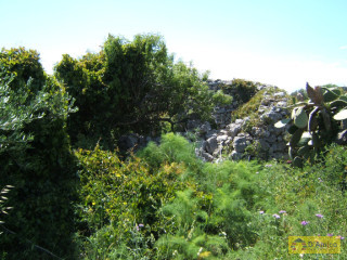 foto immobile Terreno a Santa Maria di Leuca con 33 pajare (trulli) a picco sul mare  n. 7
