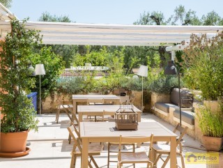 foto immobile Masseria di Charme con Piscina e 10.000 m2 di Giardino n. 22