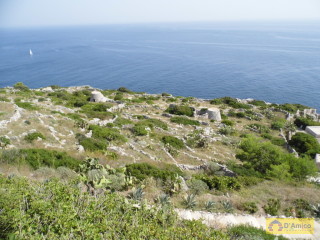 foto immobile In vendita Trulli (pajara) a picco sul mare Adriatico n. 12