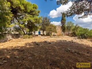 foto immobile Masseria del 1800 vista mare, a Pescoluse n. 38