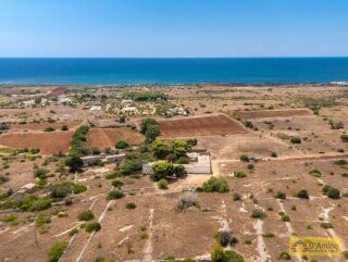 foto immobile Masseria del 1800 vista mare, a Pescoluse n. 45
