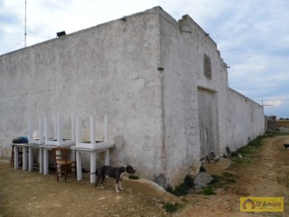 foto immobile Masseria del 1800 a 2km da Pescoluse n. 19