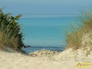 foto immobile Villette in vendita a 500 metri dalla spiaggia sabbiosa di Pescoluse  n. 27