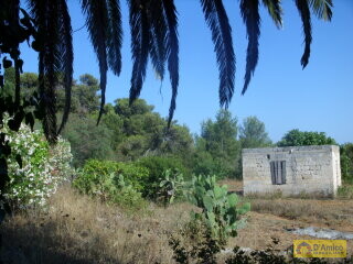 foto immobile Villa Paladini n. 7