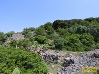 foto immobile Terreno con 5 trulli fronte mare e giardino di 11.000 mq n. 25