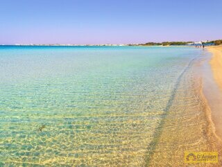 foto immobile In vendita a Pescoluse Villa vista mare, con Autorizzazione per piscina n. 42