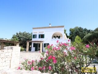foto immobile In vendita a Pescoluse Villa vista mare, con Autorizzazione per piscina n. 7