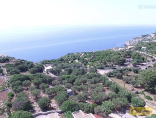 foto immobile Villa in pietra, vista mare, sul mare Adriatico, immersa negli ulivi  n. 10