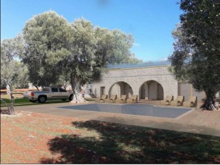 Land with centuries-old olive trees, with a Villa and Swimming pool project, 500 meters from the sea