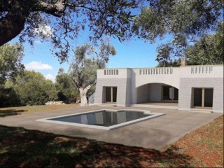 Building land with ancient olive trees and project for Villa with Pool, 500 meters from the sea