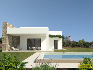 foto immobile Terreno con progetto Villa e Piscina, con ulivi e cespugli mediterranei. n. 25