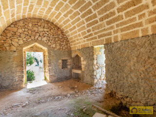 foto immobile Terreno con 2 Lamioni e Progetto per Piscina a Torre Pali n. 12