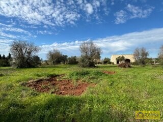 foto immobile Terreno con 2 Lamioni e Progetto per Piscina a Torre Pali n. 14