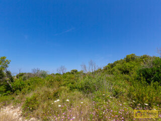 foto immobile Terreno con 2 Lamioni e Progetto per Piscina a Torre Pali n. 16