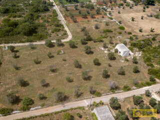 foto immobile Terreno con 2 Lamioni e Progetto per Piscina a Torre Pali n. 17