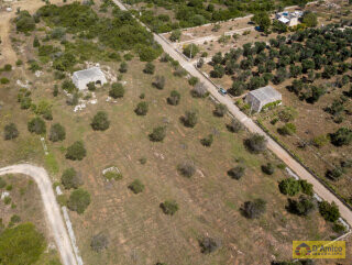 foto immobile Terreno con 2 Lamioni e Progetto per Piscina a Torre Pali n. 18