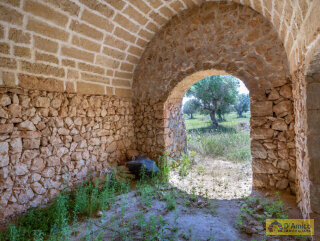 foto immobile Terreno con 2 Lamioni e Progetto per Piscina a Torre Pali n. 6
