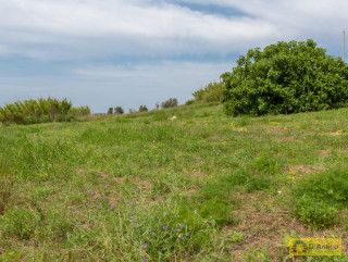 foto immobile Villa a rustico e Piscina vista mare, a Pescoluse n. 2