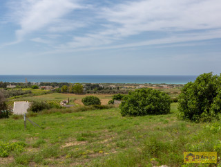 foto immobile Villa a rustico e Piscina vista mare, a Pescoluse n. 3