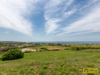 foto immobile Villa a rustico e Piscina vista mare, a Pescoluse n. 5