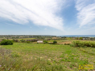 foto immobile Villa a rustico e Piscina vista mare, a Pescoluse n. 7