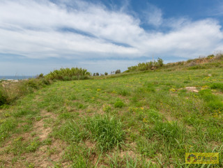 foto immobile Villa a rustico e Piscina vista mare, a Pescoluse n. 9