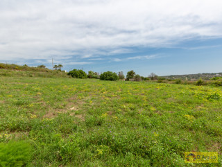 foto immobile Villa a rustico e Piscina vista mare, a Pescoluse n. 11