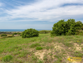 foto immobile Villa a rustico e Piscina vista mare, a Pescoluse n. 16