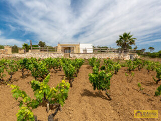foto immobile Villa vista mare con Piscina e Vigneto a Pescoluse n. 11