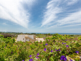 foto immobile Villa vista mare con Piscina e Vigneto a Pescoluse n. 13