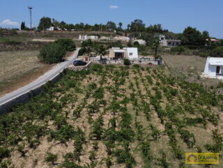 foto immobile Villa vista mare con Piscina e Vigneto a Pescoluse n. 37