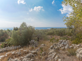 Building land Villa with sea view, with 2 Pajare stone for Dependance