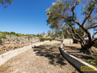 foto immobile Villa di LUSSO Incantevole Vista Mare da ristrutturare, con Piscina n. 7