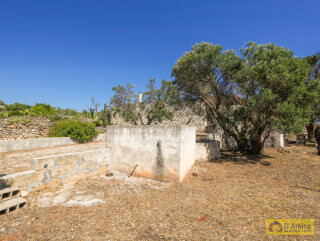 foto immobile Villa Vista Mare da ristrutturare, con Piscina n. 20