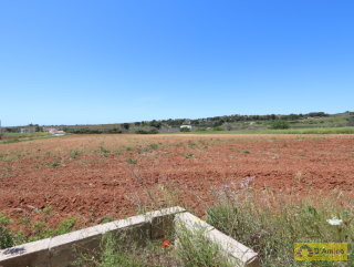 foto immobile Terreno edificabile  vista mare di 13.000 metri quadri, per Villa e Piscina  n. 15