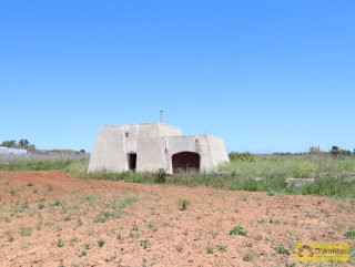 foto immobile Terreno edificabile  vista mare di 13.000 metri quadri, per Villa e Piscina  n. 14