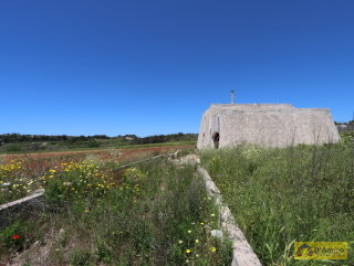 foto immobile Terreno edificabile  vista mare di 13.000 metri quadri, per Villa e Piscina  n. 13