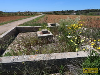 foto immobile Terreno edificabile  vista mare di 13.000 metri quadri, per Villa e Piscina  n. 12