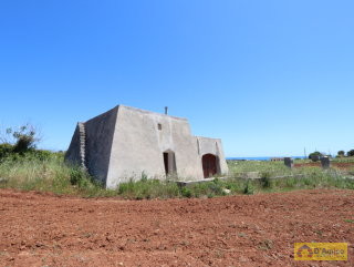 foto immobile Terreno edificabile  vista mare di 13.000 metri quadri, per Villa e Piscina  n. 8