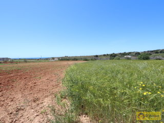 foto immobile Terreno edificabile  vista mare di 13.000 metri quadri, per Villa e Piscina  n. 7