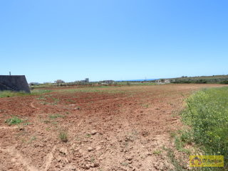 foto immobile Terreno edificabile  vista mare di 13.000 metri quadri, per Villa e Piscina  n. 6