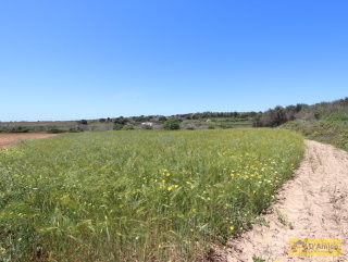 foto immobile Terreno edificabile  vista mare di 13.000 metri quadri, per Villa e Piscina  n. 5