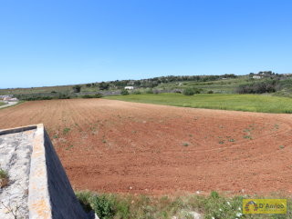 foto immobile Terreno edificabile  vista mare di 13.000 metri quadri, per Villa e Piscina  n. 4