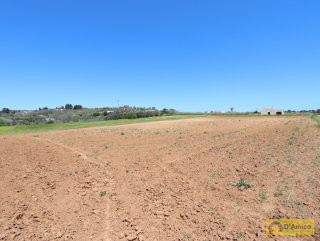 foto immobile Terreno edificabile  vista mare di 13.000 metri quadri, per Villa e Piscina  n. 2