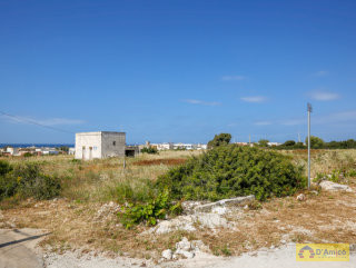 foto immobile Lotti di terreno edificabili con Ville vista mare a Pescoluse  n. 8