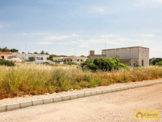 foto immobile Lotti di terreno edificabili con Ville vista mare a Pescoluse  n. 10