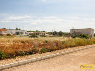 foto immobile Lotti di terreno edificabili con Ville vista mare a Pescoluse  n. 11