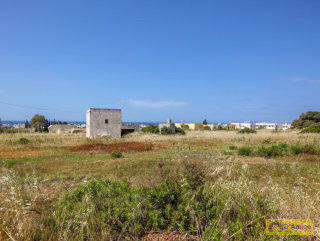 foto immobile Lotti di terreno edificabili con Ville vista mare a Pescoluse  n. 13