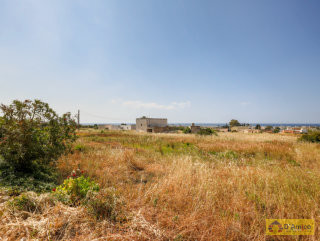 foto immobile Lotti di terreno edificabili con Ville vista mare a Pescoluse  n. 17