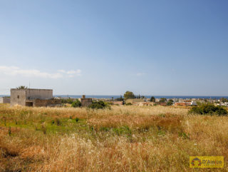 foto immobile Lotti di terreno edificabili con Ville vista mare a Pescoluse  n. 18